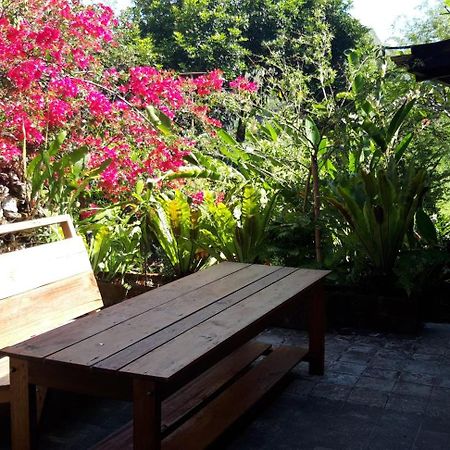 Pias Poppies Hotel Rantepao Exterior foto